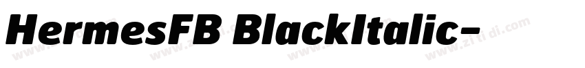 HermesFB BlackItalic字体转换